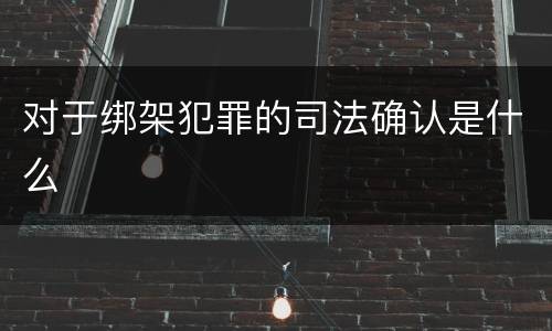 对于绑架犯罪的司法确认是什么