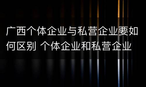 广西个体企业与私营企业要如何区别 个体企业和私营企业