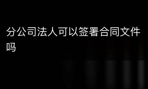 分公司法人可以签署合同文件吗