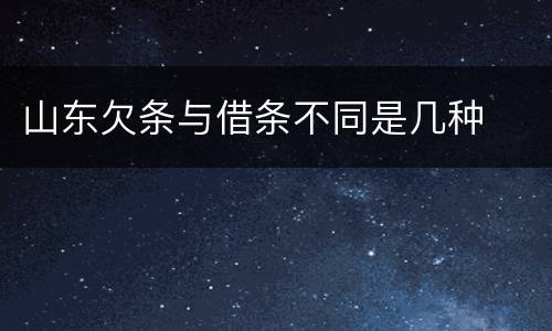 山东欠条与借条不同是几种