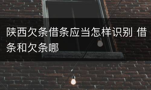 陕西欠条借条应当怎样识别 借条和欠条哪