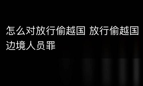 怎么对放行偷越国 放行偷越国边境人员罪