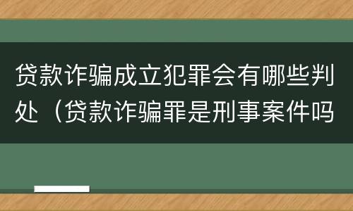 贷款诈骗成立犯罪会有哪些判处（贷款诈骗罪是刑事案件吗）