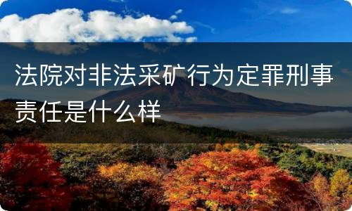 法院对非法采矿行为定罪刑事责任是什么样
