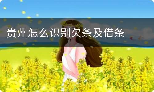 贵州怎么识别欠条及借条