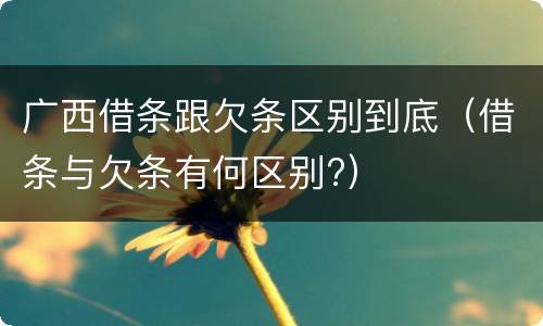 广西借条跟欠条区别到底（借条与欠条有何区别?）