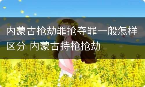内蒙古抢劫罪抢夺罪一般怎样区分 内蒙古持枪抢劫