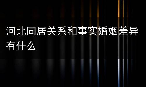 河北同居关系和事实婚姻差异有什么