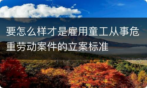 要怎么样才是雇用童工从事危重劳动案件的立案标准