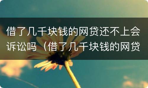 借了几千块钱的网贷还不上会诉讼吗（借了几千块钱的网贷还不上会诉讼吗怎么办）