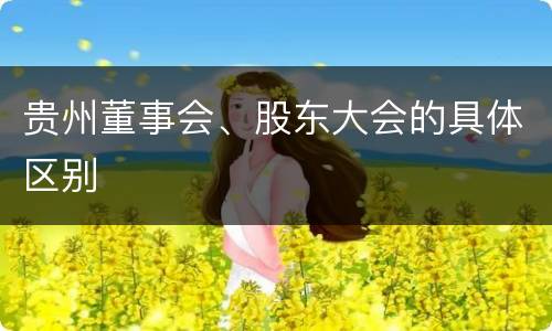 贵州董事会、股东大会的具体区别