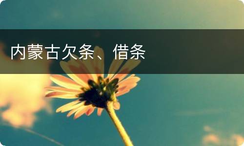 内蒙古欠条、借条