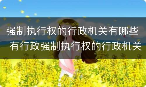 强制执行权的行政机关有哪些 有行政强制执行权的行政机关有哪些