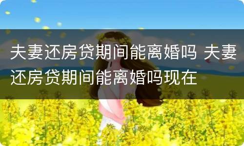 夫妻还房贷期间能离婚吗 夫妻还房贷期间能离婚吗现在