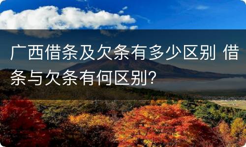 广西借条及欠条有多少区别 借条与欠条有何区别?