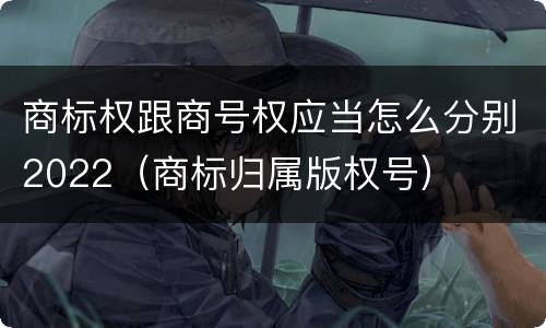 商标权跟商号权应当怎么分别2022（商标归属版权号）