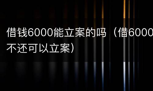 借钱6000能立案的吗（借6000不还可以立案）