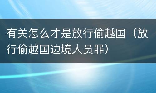 有关怎么才是放行偷越国（放行偷越国边境人员罪）