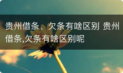 贵州借条、欠条有啥区别 贵州借条,欠条有啥区别呢