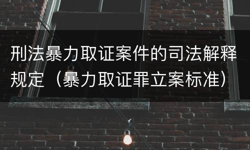刑法暴力取证案件的司法解释规定（暴力取证罪立案标准）