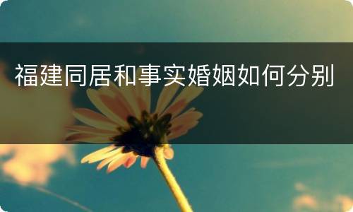 福建同居和事实婚姻如何分别