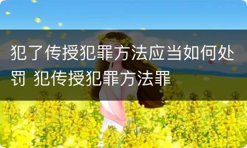 犯了传授犯罪方法应当如何处罚 犯传授犯罪方法罪
