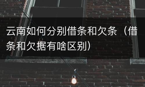云南如何分别借条和欠条（借条和欠据有啥区别）
