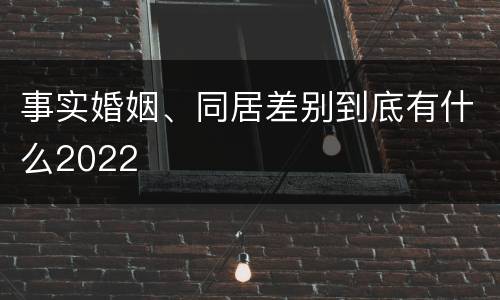 事实婚姻、同居差别到底有什么2022