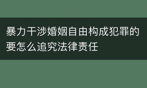 暴力干涉婚姻自由构成犯罪的要怎么追究法律责任