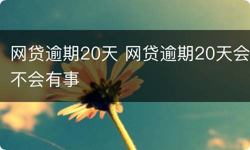 网贷逾期20天 网贷逾期20天会不会有事