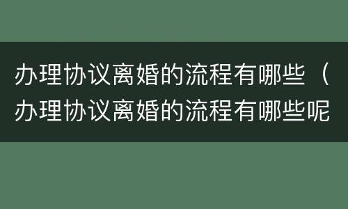 办理协议离婚的流程有哪些（办理协议离婚的流程有哪些呢）
