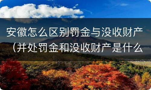 安徽怎么区别罚金与没收财产（并处罚金和没收财产是什么意思）