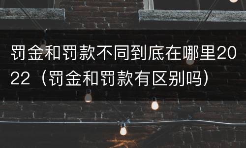 罚金和罚款不同到底在哪里2022（罚金和罚款有区别吗）