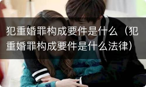 犯重婚罪构成要件是什么（犯重婚罪构成要件是什么法律）