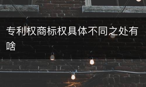 专利权商标权具体不同之处有啥