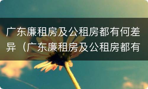 广东廉租房及公租房都有何差异（广东廉租房及公租房都有何差异呢）