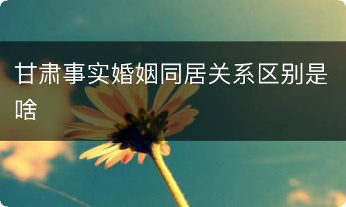 甘肃事实婚姻同居关系区别是啥