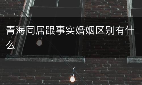 青海同居跟事实婚姻区别有什么