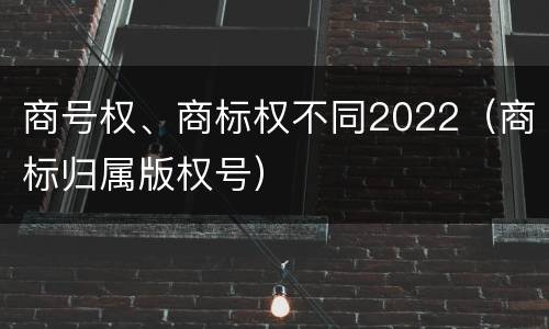 商号权、商标权不同2022（商标归属版权号）