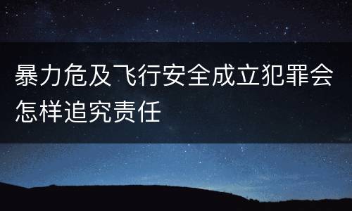 暴力危及飞行安全成立犯罪会怎样追究责任