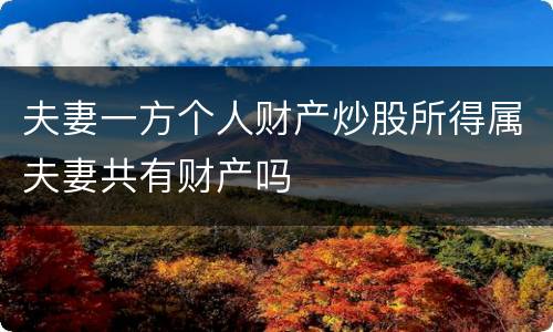 夫妻一方个人财产炒股所得属夫妻共有财产吗