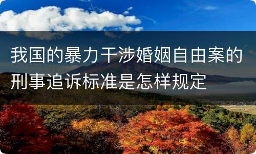 我国的暴力干涉婚姻自由案的刑事追诉标准是怎样规定