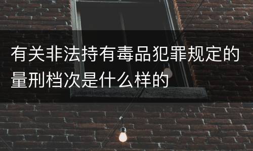 有关非法持有毒品犯罪规定的量刑档次是什么样的