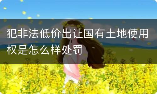 犯非法低价出让国有土地使用权是怎么样处罚