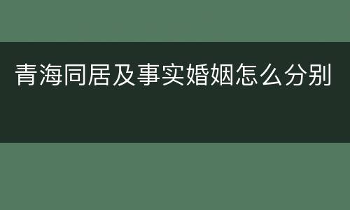 青海同居及事实婚姻怎么分别