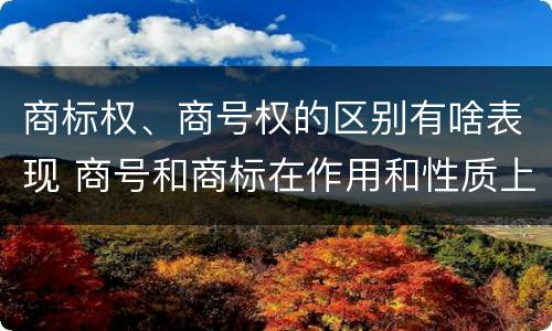 商标权、商号权的区别有啥表现 商号和商标在作用和性质上的区别