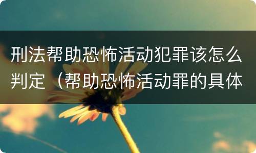 刑法帮助恐怖活动犯罪该怎么判定（帮助恐怖活动罪的具体表现）