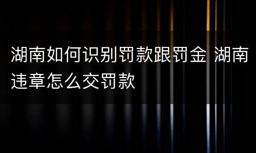 湖南如何识别罚款跟罚金 湖南违章怎么交罚款