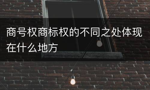 商号权商标权的不同之处体现在什么地方