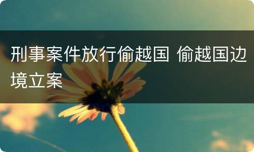 刑事案件放行偷越国 偷越国边境立案